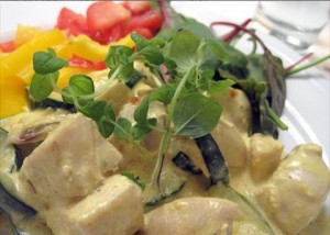 Kyllingegryde med karry og squash