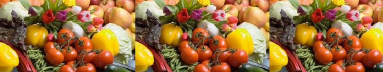 Geisler Albertsen's LCHF
